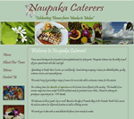 custom website
